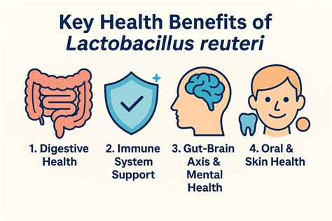 Lactobacillus reuteri: The Probiotic for Gut, Mood, and More