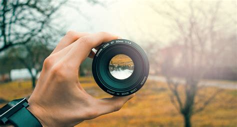 Image result for Mojeek Features