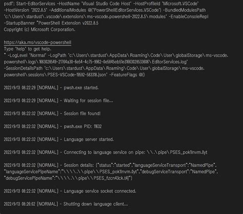 Vscode PowerShell 的图像结果