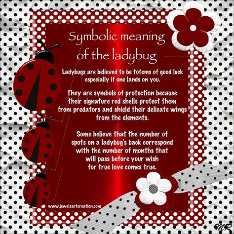 Symbolic meaning of the ladybug | Ladybug meaning, Ladybug quotes, Ladybug