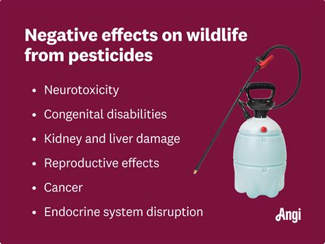 Image result for Insecticide Effects