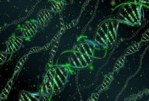 9XBDdVpK abstract digital art dna 3d wallpaper Poster Paper Print ...