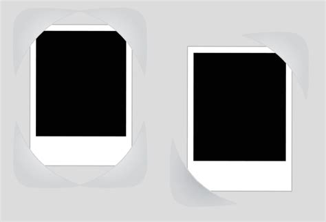 Image result for Vectror Photo