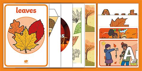 Autumn Classroom Display - Autumn Displays for Schools