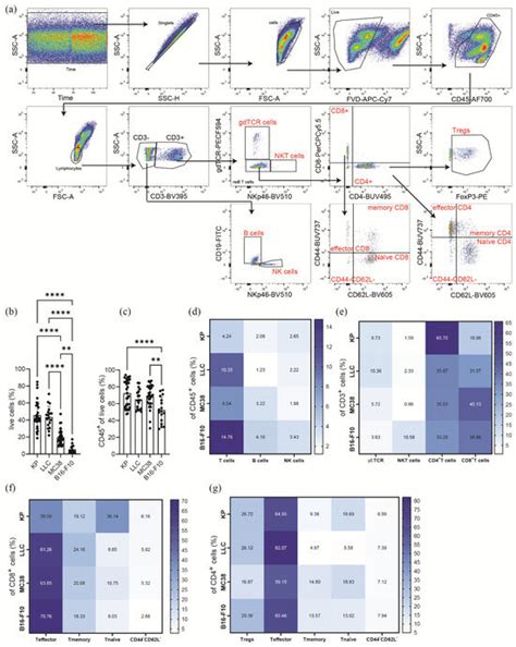 Comparative Study of the Immune Microenvironment in Heterotopic Tumor ...