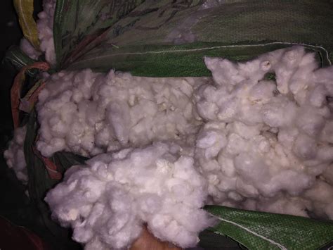 邢台123：邢台市哪有卖真棉花的？