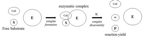 Biochemical 的图像结果