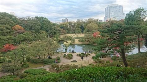 Bunkyo Photos - Featured Images of Bunkyo, Tokyo - Tripadvisor