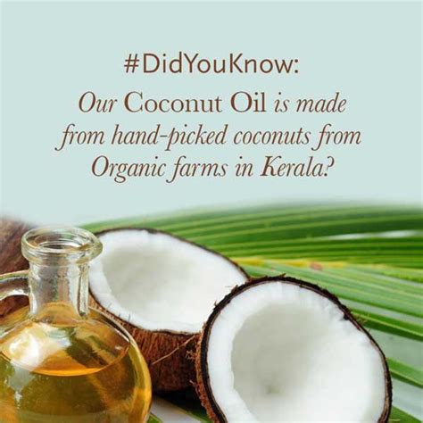 Does Coconut Oil Darken The Skin? Myth or Fact? - Kama Ayurveda