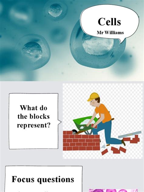 Tutorials for Cells 的图像结果