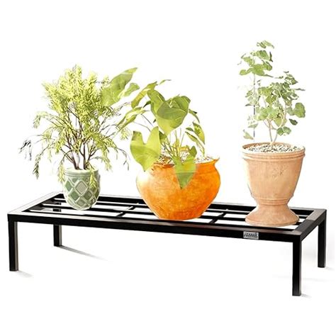 Stand Master Plant Stand