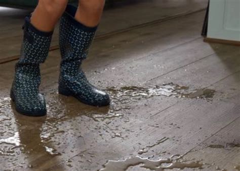 Image result for PSP CWC