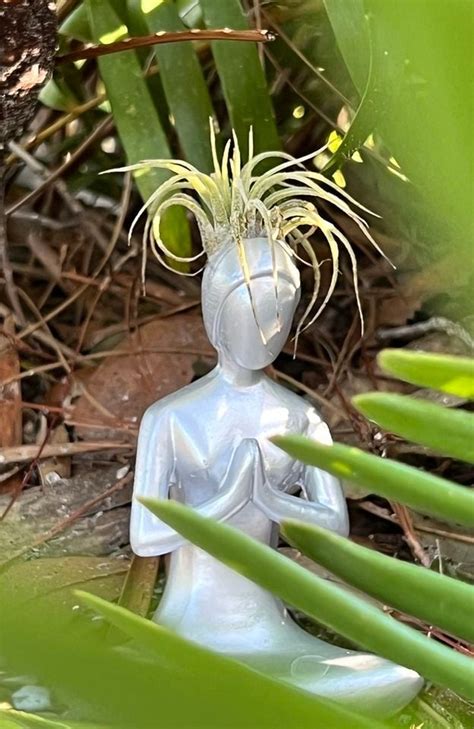 New Years Eve 5th Sunday Kirtan (and Potluck) at Sacred Lands!, Sacred ...