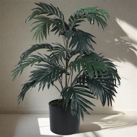 Artificial Plants – Vaaree