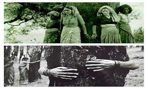 Image result for Chipko Movement Introduction