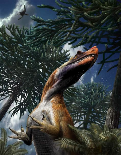 意大利阿尔卑斯山发现已知最古老掠食性恐龙化石——角鼻龙 - 新闻中心 - 化石网