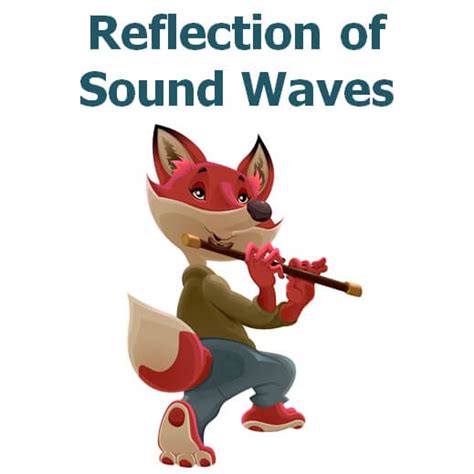 Image result for Sound Reflection Example