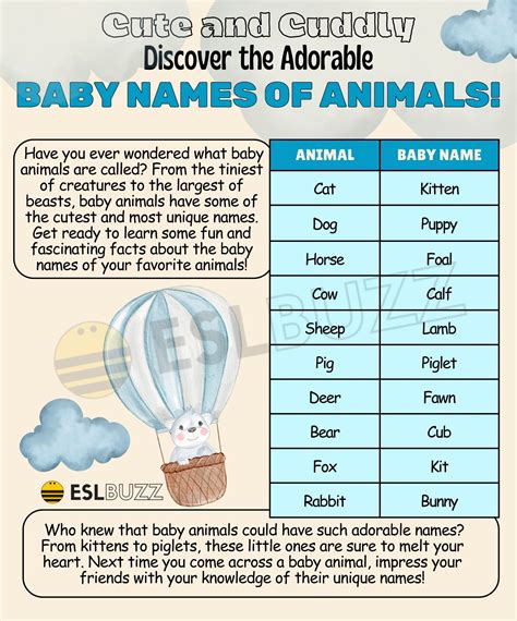 Baby Animal Names And Pictures at Jody Featherston blog