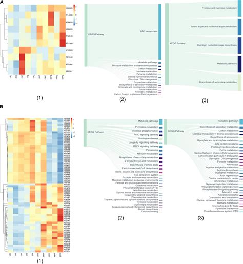 Frontiers | Gut Microbiota Comparison Between Intestinal Contents and ...