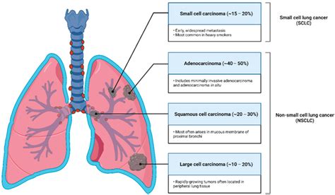 Ctab Medical Abbreviation