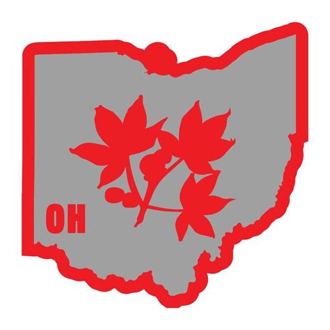 USAMM Original I Buckeye Ohio Variant Classic Vinyl Decal : Amazon.in ...