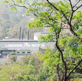Tirumala Group