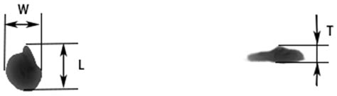 Calibration and Testing of Discrete Elemental Simulation Parameters for ...