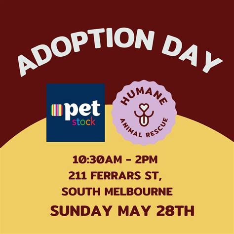 Cat/Kitten ADOPTION DAY Pet Stock South Melbourne , 211 Ferrars St ...
