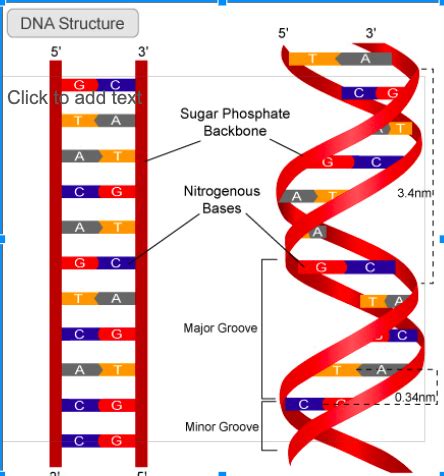 Interesting Genetics 的图像结果