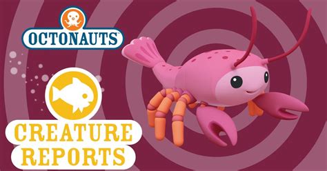 Image result for Octonauts Lobster