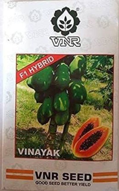 STOKIYA ORIGINAL VNR F1 HYBRID VARIETY PAPAYA SEEDS ( 500 SEED ) Seed ...