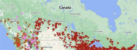 Image result for Interactive Hummingbird Map