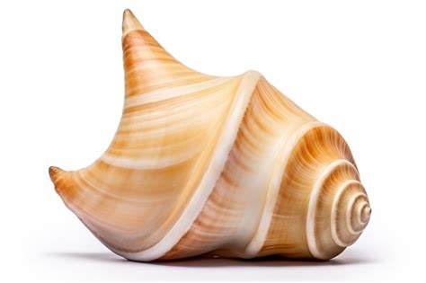 Image result for Linux Shell White Background