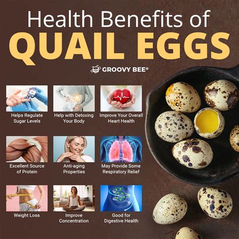 Health Benefits of Quail Eggs | Quail eggs, Quail eggs benefits, Quail