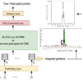 Graphical Workflow 的图像结果