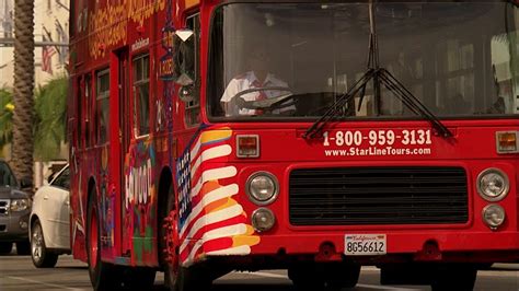 Image result for Tui Bus Liver Side View