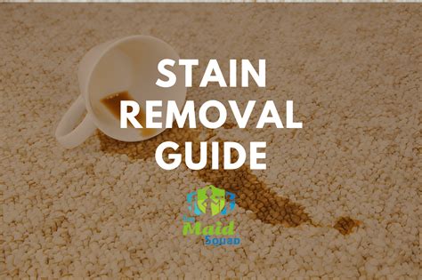 Image result for Stain Removal Reference Guide