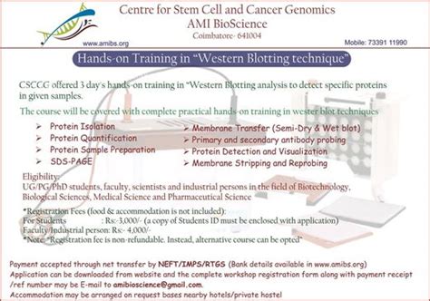 Western Blotting Technique - Centre for Stem Cell & Cancer Genomics ...