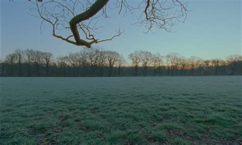 Image result for Diffusion Filter Halation Effect