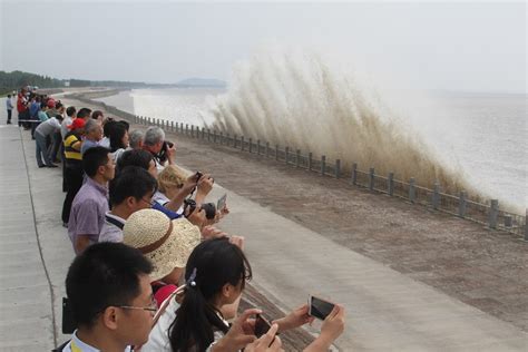 Qiantang River Tidal Bore in China 2024 - Rove.me