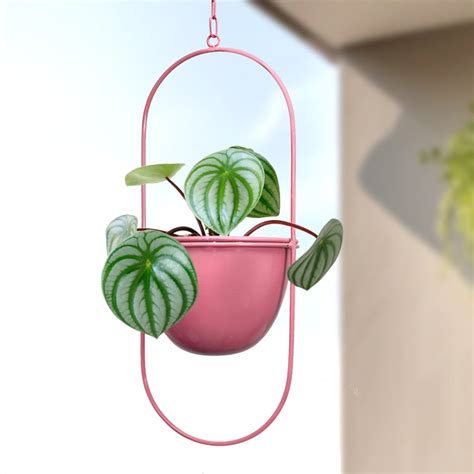 Buy HOMESAKE Metal Hanging Planter from Homesake at just INR 5600.0
