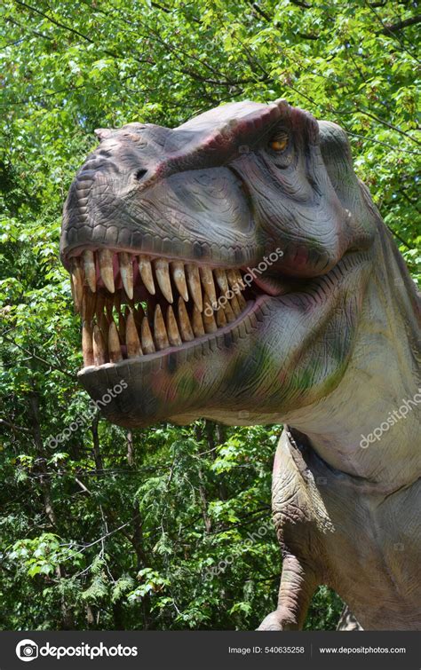 Tyrannosaurus Rex Meaning Tyrant Lizard King Latin One Most Well Stock ...