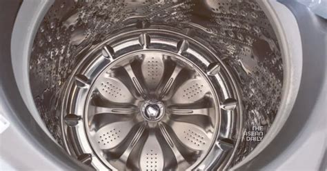 Image result for Washing Machine Simulator Missing Person