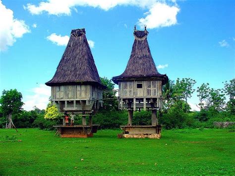 Tetum Sacred Houses: Traditional Uma Lulik Architecture of East Timor