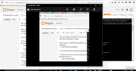 Python Print Screen 的图像结果