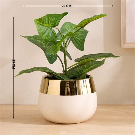 Buy Gloria Elara Artificial Money Plant in Ceramic Pot from Home Centre ...