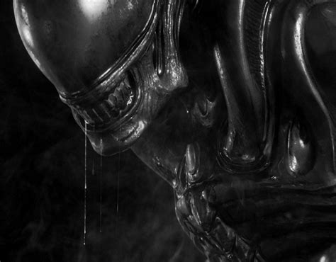 Image result for Alien Movie Tribute