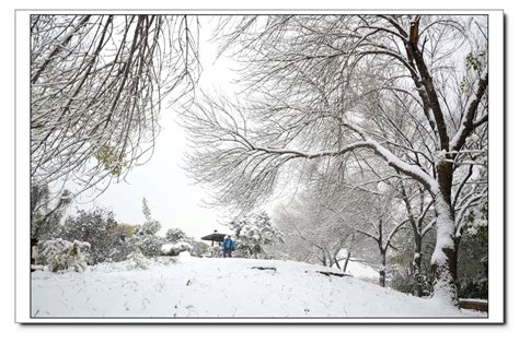 下雪的冬天…… - 堆糖，美图壁纸兴趣社区