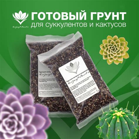 Готовый грунт для суккулентов и кактусов "EnjoyPlants" 2,5л - купить по ...