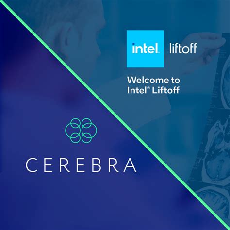 CEREBRA posted on LinkedIn